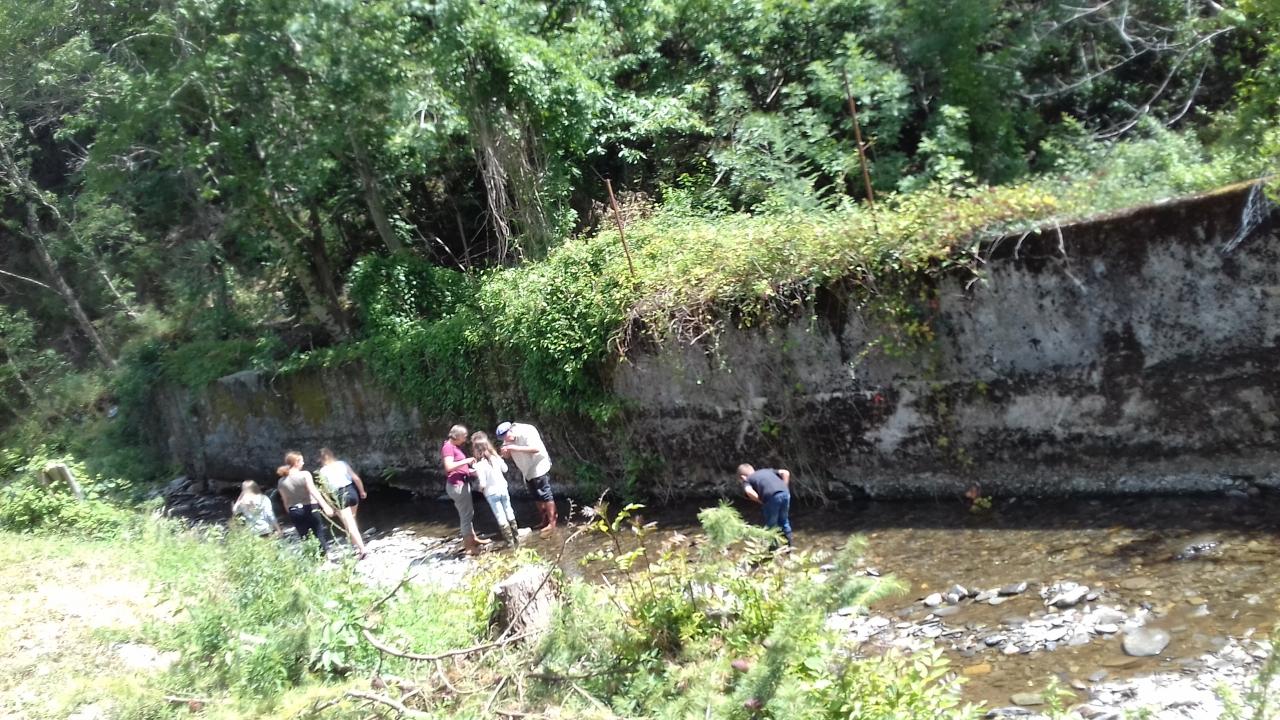 dans la rivière