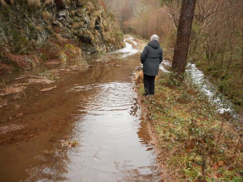 Route ou ruisseau ?