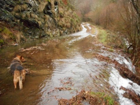 Route ou ruisseau ?