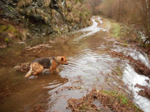 Route ou ruisseau ?