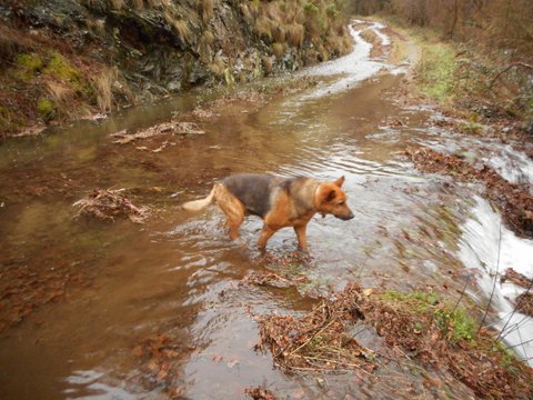 Route ou ruisseau ?