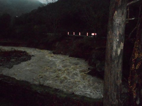 Pont de bois