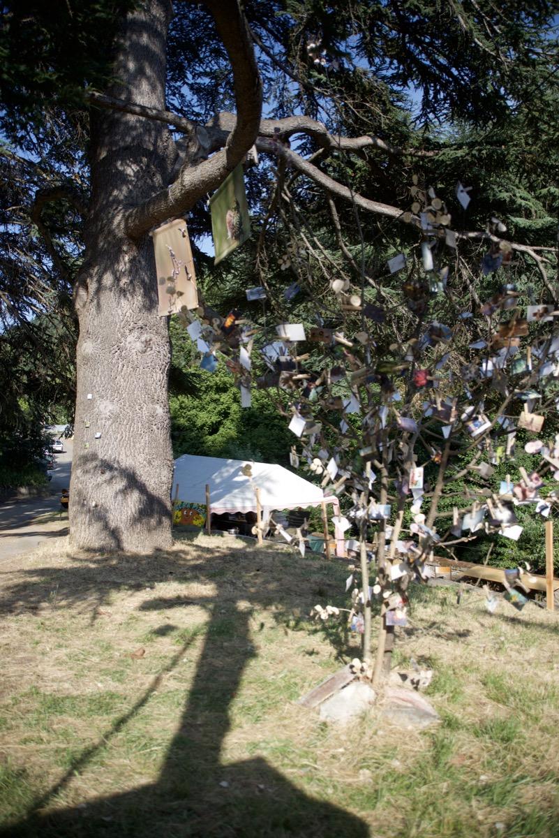 L'arbre à Photos de Pierre