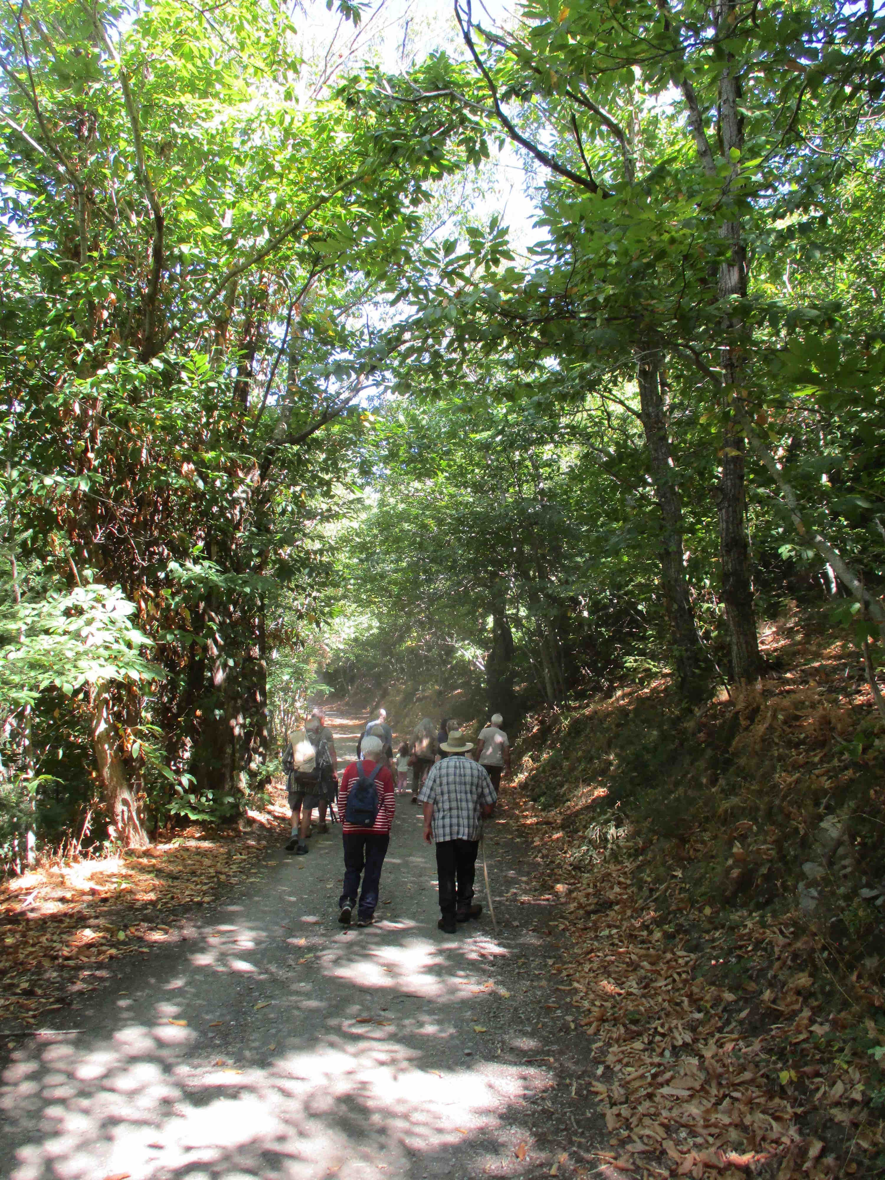 Chemin de Cavaillel
