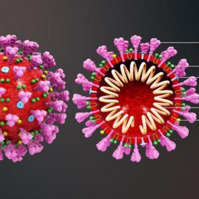 3d medical animation coronavirus structure