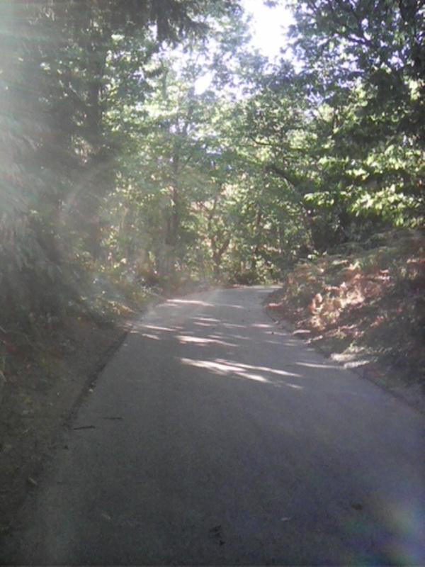 Chemin