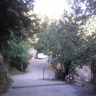 Dsc 00005241