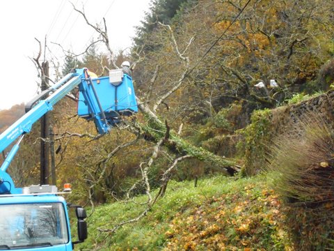 Noyer tombé sur la ligne