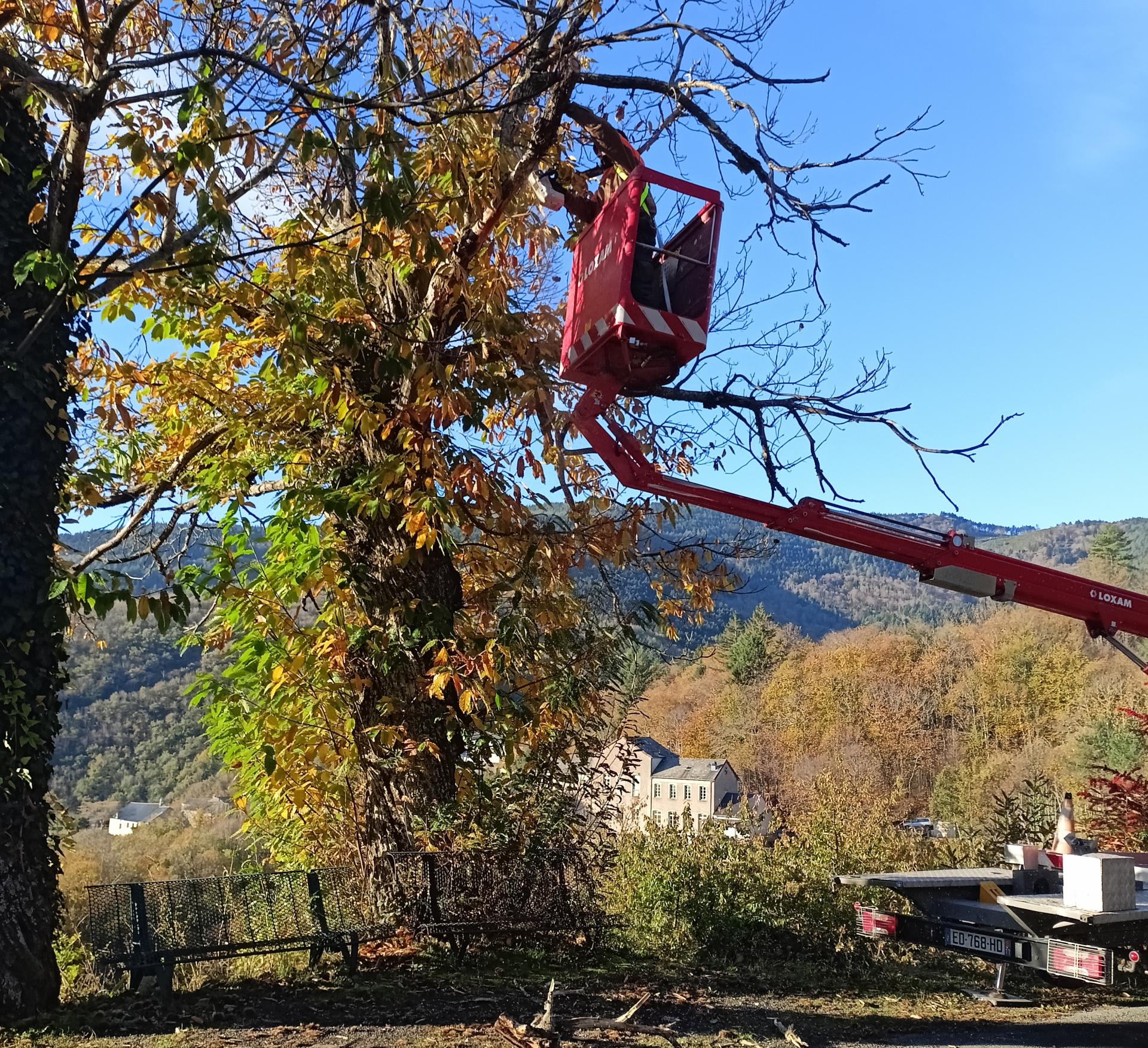 au dessus des bancs