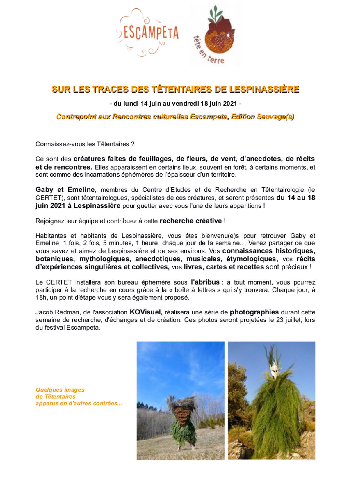 Presentation planning tetentaire a lespinassiere com village