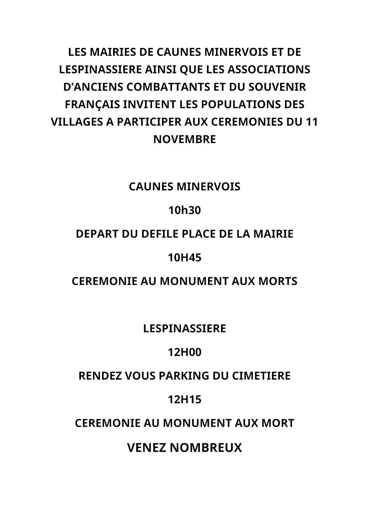 Publication ceremonie 11 nov