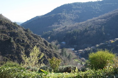 La vue